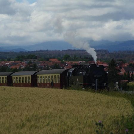 Ferienwohnung Schuur - Harz Hasselfelde Eksteriør bilde