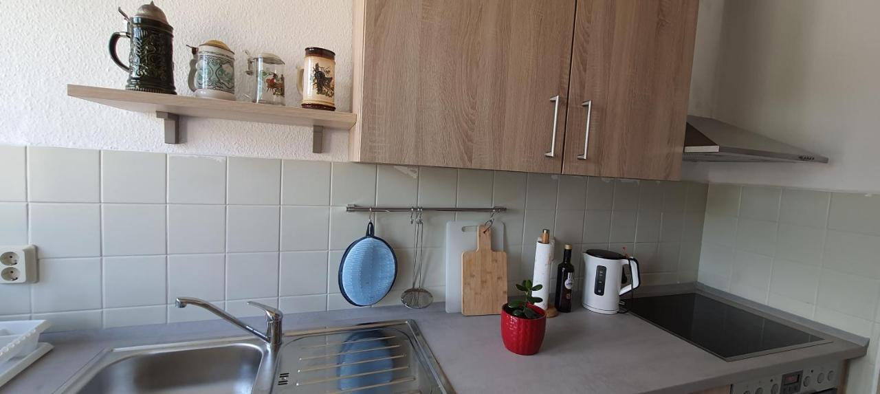 Ferienwohnung Schuur - Harz Hasselfelde Eksteriør bilde